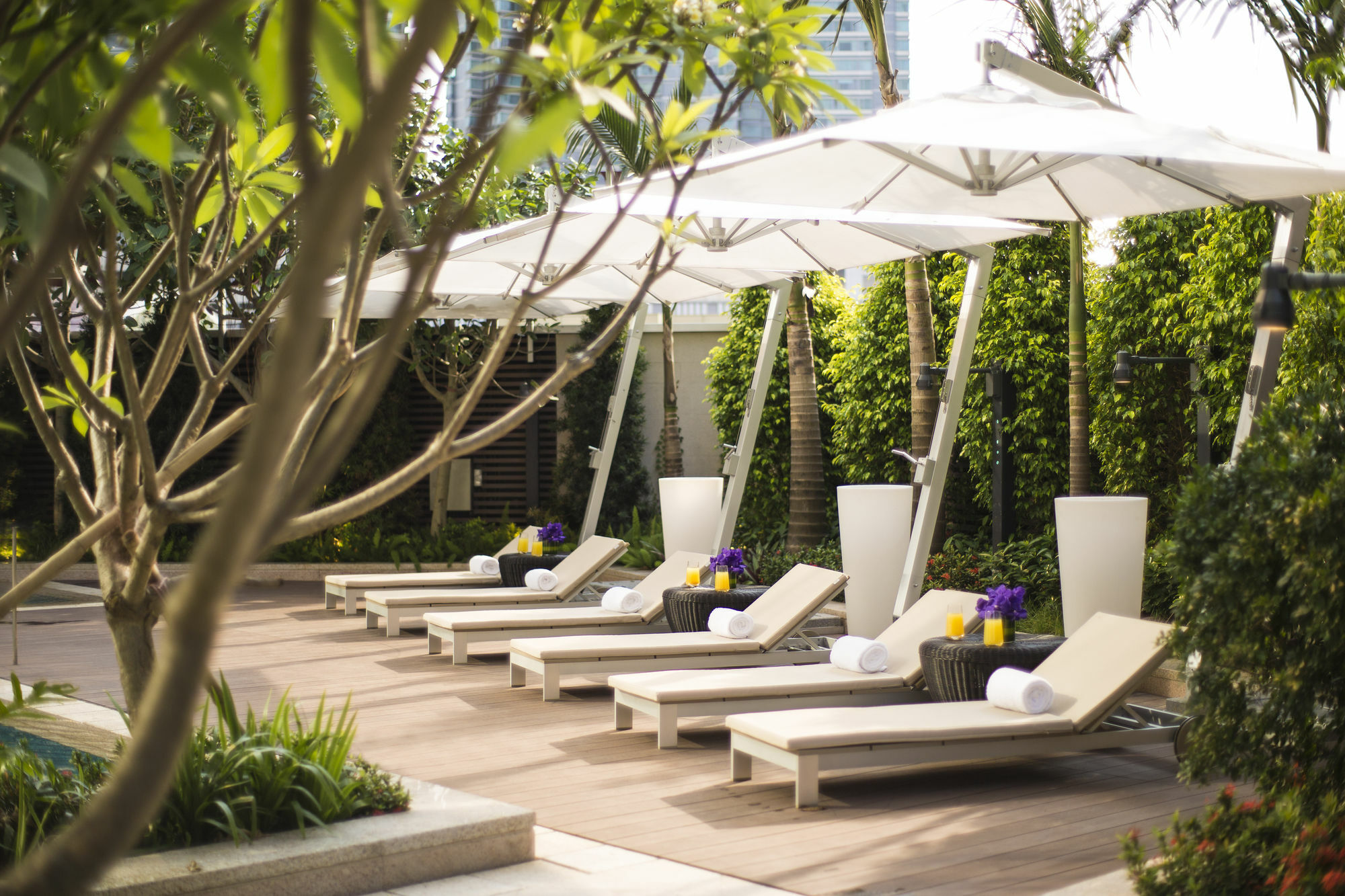 Apartment Ascott